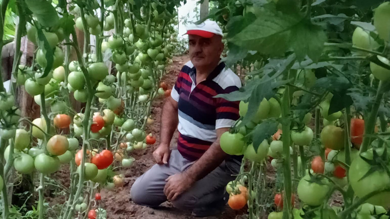 Korganli ureticiden turkiyeye mesaj uretim varsa pazara elveda QQnRdKGt